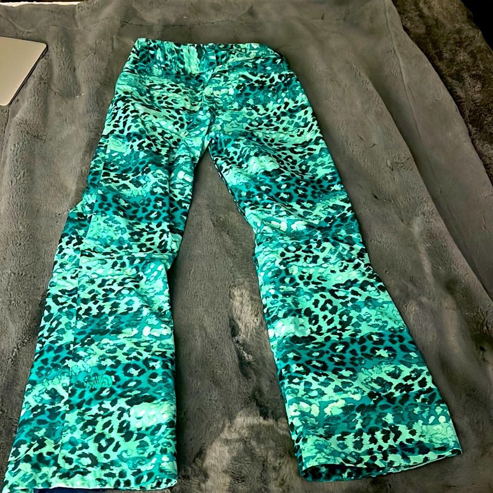 The north face snow pants